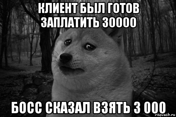 клиент был готов заплатить 30000 босс сказал взять 3 000