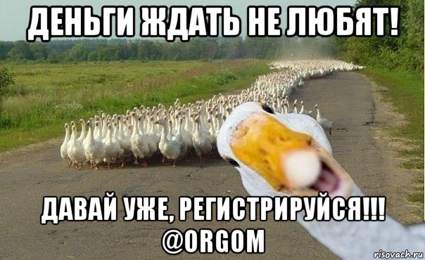 деньги ждать не любят! давай уже, регистрируйся!!! @orgom, Мем гуси