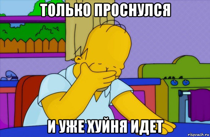 только проснулся и уже хуйня идет, Мем Homer simpson facepalm