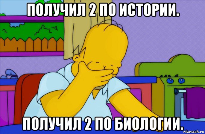 получил 2 по истории. получил 2 по биологии., Мем Homer simpson facepalm