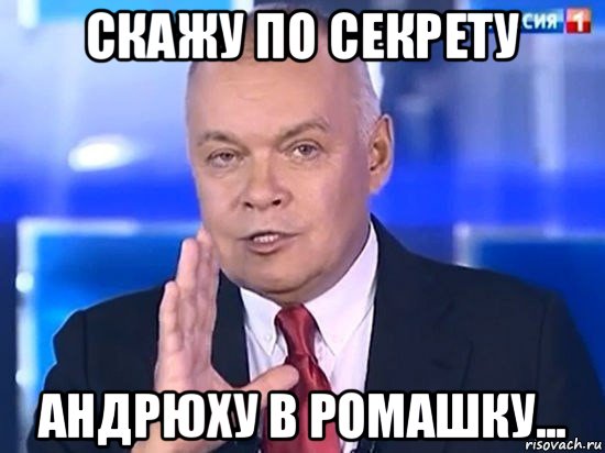 скажу по секрету андрюху в ромашку..., Мем Киселёв 2014