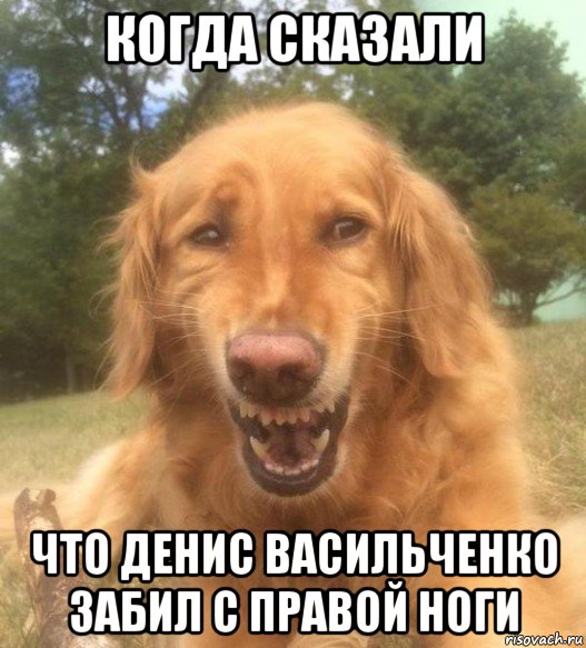 когда сказали что денис васильченко забил с правой ноги, Мем   Когда увидел что соседского кота отнесли в чебуречную