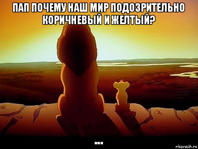 пап почему наш мир подозрительно коричневый и желтый? ..., Мем  король лев