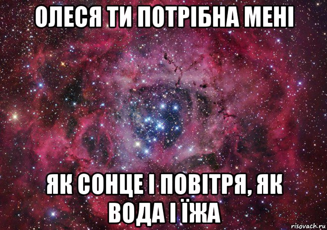 олеся ти потрібна мені як сонце і повітря, як вода і їжа, Мем Ты просто космос