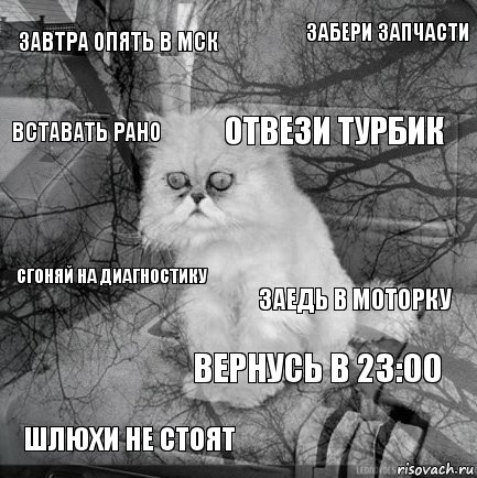 Завтра опять в МСК Заедь в моторку Отвези турбик Шлюхи не стоят Сгоняй на диагностику Забери запчасти Вернусь в 23:00 Вставать рано  , Комикс  кот безысходность