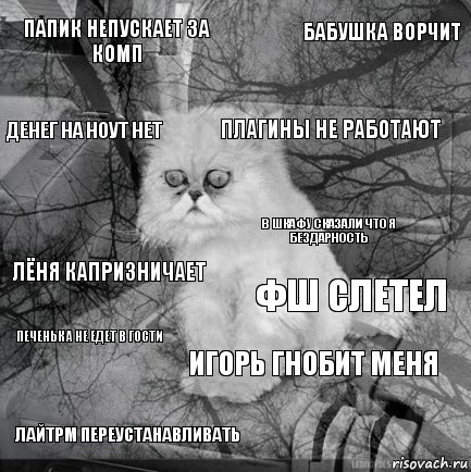 Папик непускает за комп ФШ слетел Плагины не работают Лайтрм переустанавливать Лёня капризничает Бабушка ворчит Игорь гнобит меня Денег на ноут нет Печенька не едет в гости В шкафу сказали что я бездарность, Комикс  кот безысходность