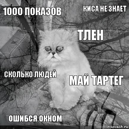 1000 показов май тартег тлен ошибся окном сколько людей киса не знает    , Комикс  кот безысходность