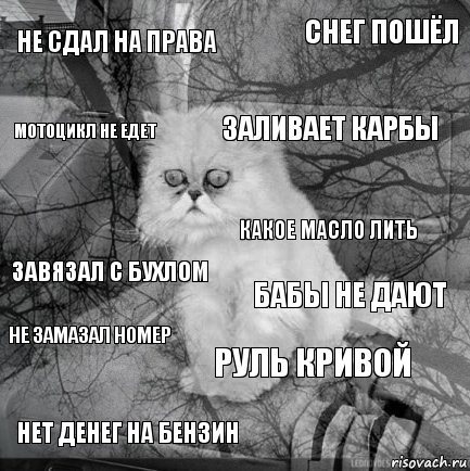 Не сдал на права Бабы не дают Заливает карбы Нет денег на бензин Завязал с бухлом Снег пошёл Руль кривой Мотоцикл не едет Не замазал номер какое масло лить, Комикс  кот безысходность