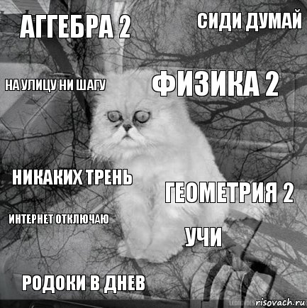 аггебра 2 геометрия 2 физика 2 родоки в днев никаких трень сиди думай учи на улицу ни шагу интернет отключаю , Комикс  кот безысходность