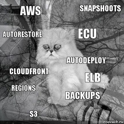 AWS ELB ECU S3 CloudFront Snapshoots Backups Autorestore Regions Autodeploy, Комикс  кот безысходность