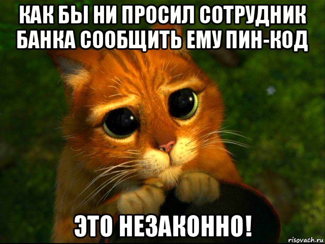 как бы ни просил сотрудник банка сообщить ему пин-код это незаконно!, Мем кот из шрека