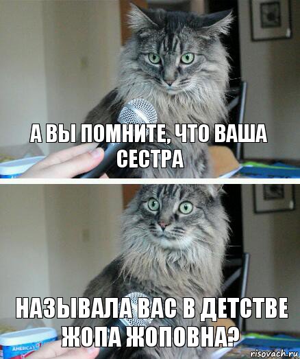 А вы помните, что ваша сестра Называла вас в детстве Жопа Жоповна?, Комикс  кот с микрофоном