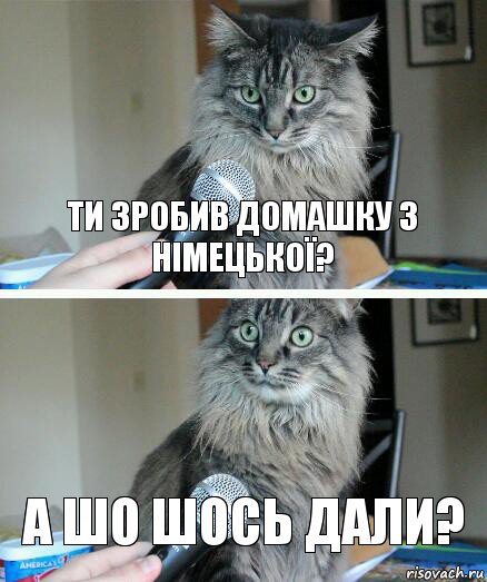 Ти зробив домашку з німецької? А шо шось дали?, Комикс  кот с микрофоном