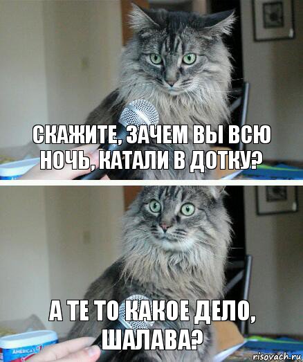 Скажите, зачем вы всю ночь, катали в Дотку? а те то какое дело, шалава?, Комикс  кот с микрофоном