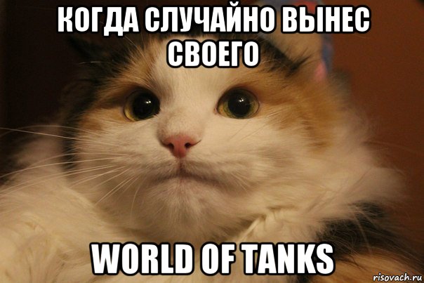 когда случайно вынес своего world of tanks, Мем  Кот в недоразумении