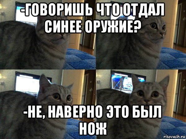 -говоришь что отдал синее оружие? -не, наверно это был нож, Мем  Кот в шоке