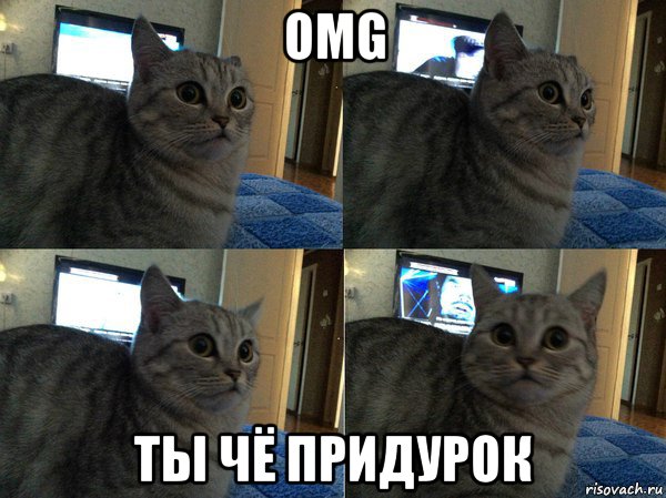 omg ты чё придурок, Мем  Кот в шоке