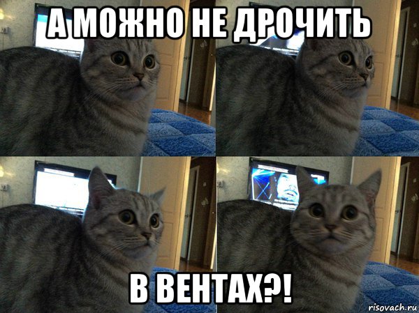 а можно не дрочить в вентах?!, Мем  Кот в шоке