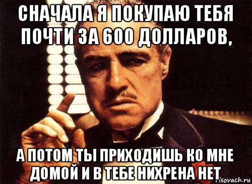 сначала я покупаю тебя почти за 600 долларов, а потом ты приходишь ко мне домой и в тебе нихрена нет, Мем крестный отец