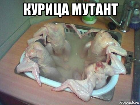 курица мутант , Мем куры