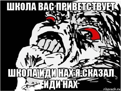 школа вас приветствует школа иди нах я сказал иди нах, Мем в ужасе