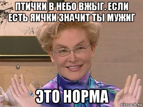 птички в небо вжыг. если есть яички значит ты мужиг это норма, Мем Елена Малышева