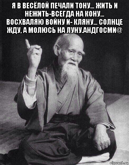 я в весёлой печали тону... жить и нежить-всегда на кону... восхваляю войну и- кляну... солнце жду, а молюсь на луну.андгосми@ , Мем Монах-мудрец (сэнсей)