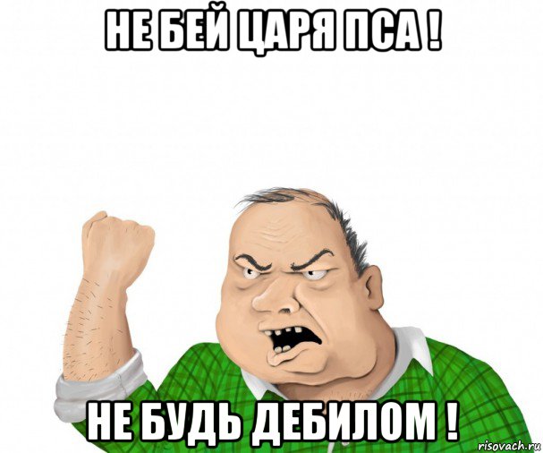 не бей царя пса ! не будь дебилом !, Мем мужик