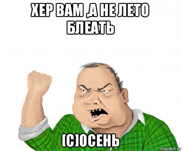 хер вам ,а не лето блеать [c]осень, Мем мужик