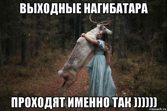 выходные нагибатара проходят именно так ))))))