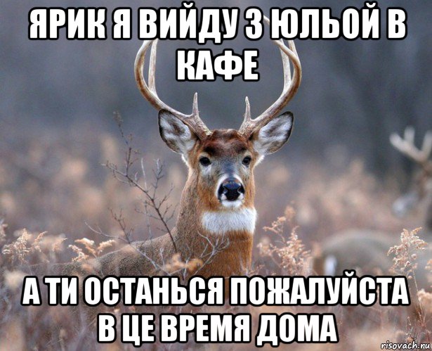 ярик я вийду з юльой в кафе а ти останься пожалуйста в це время дома, Мем   Наивный олень