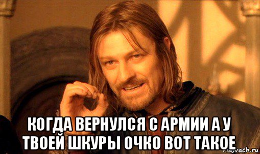  когда вернулся с армии а у твоей шкуры очко вот такое, Мем Нельзя просто так взять и (Боромир мем)