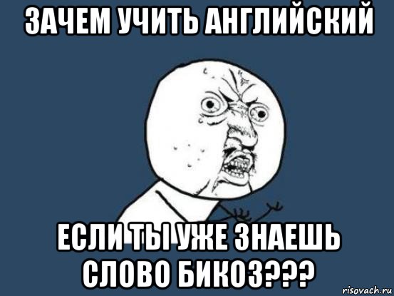 зачем учить английский если ты уже знаешь слово бикоз???, Мем Ну почему