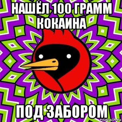 нашёл 100 грамм кокаина под забором, Мем Омская птица