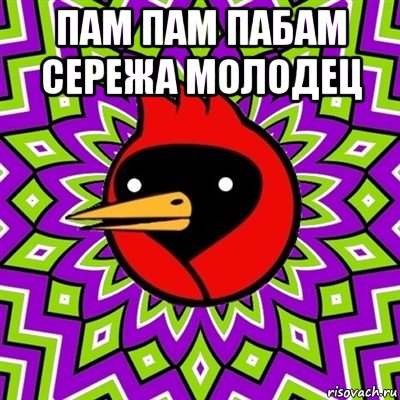 Пара пам пам слушать. Пам пам пам пам Сережа молодец. Пам парам Сережа молодец. Уточка лам пам пам. Стикер Сережа молодец.