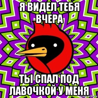 я видел тебя вчера ты спал под лавочкой у меня, Мем Омская птица