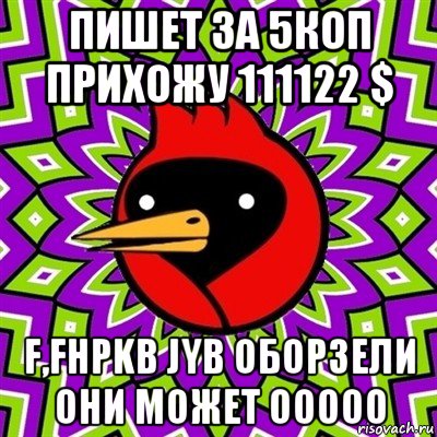 пишет за 5коп прихожу 111122 $ f,fhpkb jyb оборзели они может ооооо, Мем Омская птица