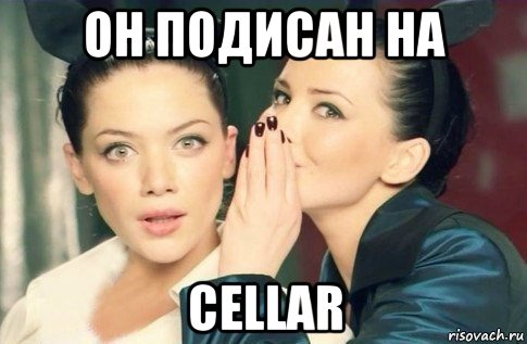 он подисан на cellar, Мем  Он