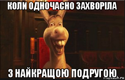 коли одночасно захворіла з найкращою подругою, Мем Осел из Шрека