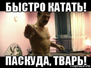 быстро катать! паскуда, тварь!, Мем Паскуда тварь