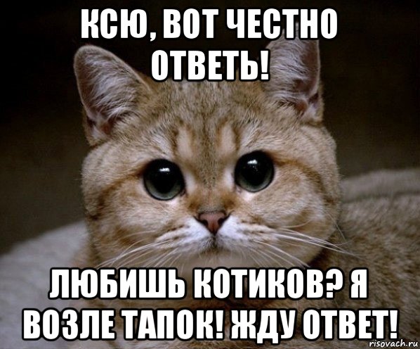 Ответь честно. Жду ответа. Жду ответа картинки. Доброе утро Пидрила. Ждите ответа.