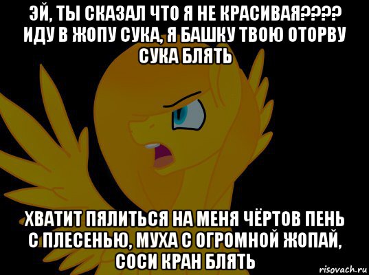 эй, ты сказал что я не красивая???? иду в жопу сука, я башку твою оторву сука блять хватит пялиться на меня чёртов пень с плесенью, муха с огромной жопай, соси кран блять, Мем  Пони1