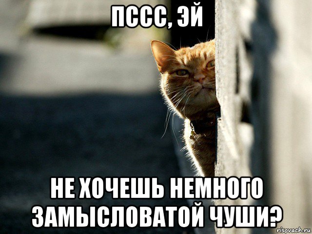 Хочу немного. Эй пссс. Пссс Мем. Пссс не хочешь немного. Не хочешь немного Мем.