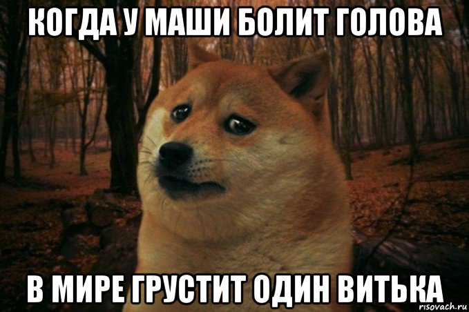 когда у маши болит голова в мире грустит один витька, Мем SAD DOGE