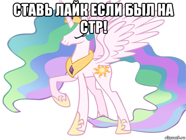 Зефир Мем