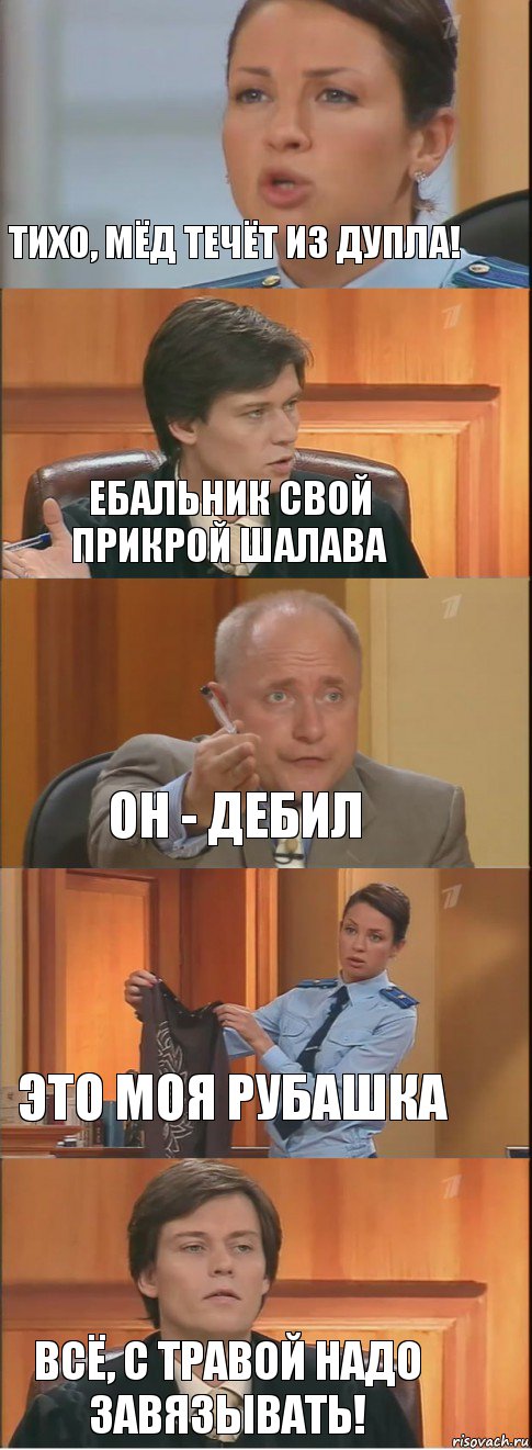 Тихо, мёд течёт из дупла! Ебальник свой прикрой шалава он - дебил это моя рубашка всё, с травой надо завязывать!, Комикс Суд