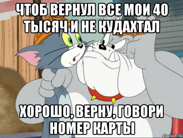 чтоб вернул все мои 40 тысяч и не кудахтал хорошо, верну, говори номер карты, Мем том и джерри