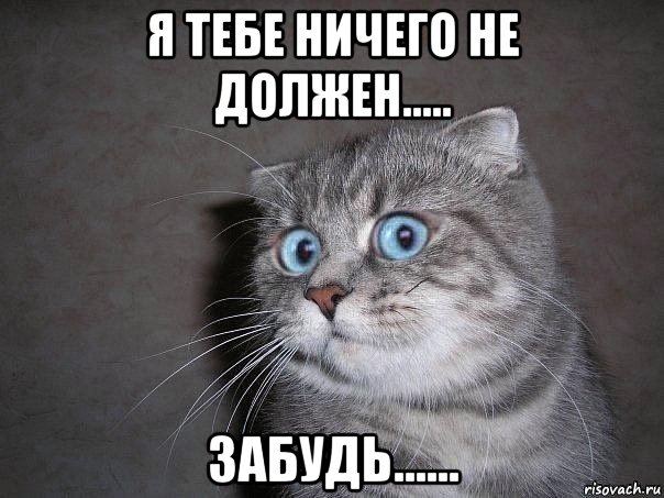 я тебе ничего не должен..... забудь......, Мем  удивлённый кот