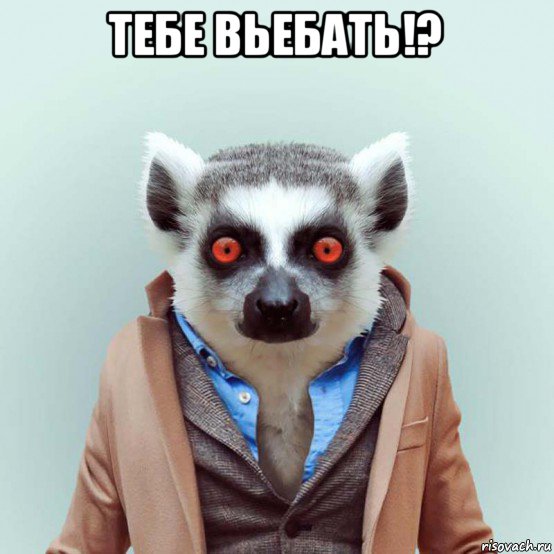 тебе вьебать!? , Мем укуренный лемур