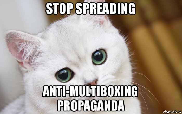 stop spreading anti-multiboxing propaganda, Мем  В мире грустит один котик